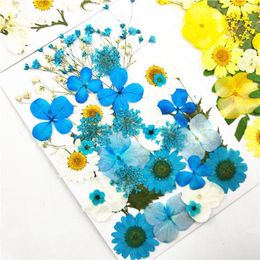 Decoratieve bloemen Kleine echte gedroogde bloem Natuurlijke droge planten voor kaarsen Epoxy Resin Hanger ketting sieraden maken Craft Diy Accessori