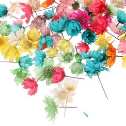 Decoratieve bloemen Kleine sterrenbloemhoofd Diy Gedroogde kristallijm zonder paalglazen kogel vulling kleur roze ambachtsmateriaal geperste decor