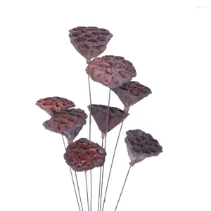 Flores decorativas Tallos elegantes y secos Natural Mini Lotus Pod Artificial para Ornamentos para el hogar Accesorios de manejo de bricolaje Algodón