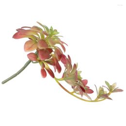Flores decorativas Plantas suculentas Colgantes suculentos Boda artificial Perlas falsas Centros de mesa de simulación Tallos sin maceta
