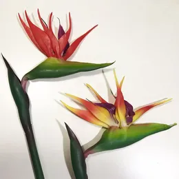 Decoratieve bloemen levering van hoogwaardige PU-tactiele simulatie voor de grote paradijsvogel en groothandel directe verkoop kunstmatig