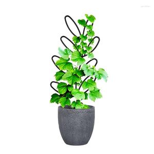 Decoratieve bloemen Trellis voor potplanten Multifunctionele plant Indoor Mini Garden Home Room Table El Decoration