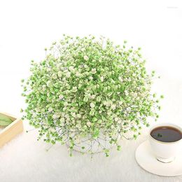 Decoratieve bloemen Twee kleuren Gypsophila Gedroogde echte bloem ornamenten kleine verse bruiloft woning decor kamer decoratie boeket recht haar