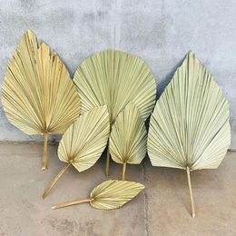 Fleurs décoratives tenture murale Pu ventilateur feuilles plantes artificielles feuilles séchées Vase décor en bois palmier naturel