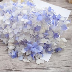 Decoratieve bloemen Wedding Decoratie Natuurlijke gedroogde bloem Hydrangea Kerst Boheemse stijl Room Accessoires