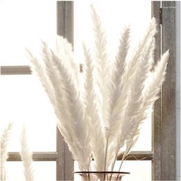 Fleurs décoratives Blanc Blanc Bouquet d'herbe de pampas pour la maison décor de magasin de mariage violet vraie fleur naturel roseau séché 15pcs / lot