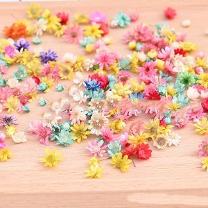 Fleurs décoratives en gros 50 G/lot tête de fleur séchée plantes de marguerite pour résine époxy pendentif collier fabrication de bijoux artisanat bricolage Nail Art