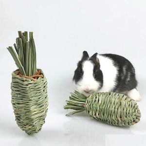 Decoratieve bloemen kransen 1 pc konijn water gras radijs speelgoed natuurlijke handgeweven molaire speelgoedbenodigdheden voor cavia chinchilla dro dhifh