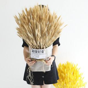 Couronnes De Fleurs Décoratives 100pcs Bouquet D'épis De Blé De Fleurs Séchées Naturelles Pour Le Mariage Décoration De Fête De Mariage DIY Artisanat Décorations De Noël Maison Chambre 230227