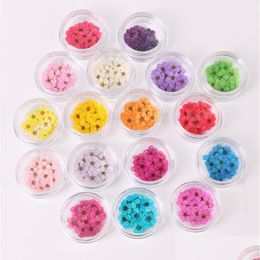 Couronnes De Fleurs Décoratives 100 Pcs Pressé Séché Narcisse Fleur De Prunier Avec Boîte Pour Résine Époxy Fabrication De Bijoux Nail Art Cra Dhzk5