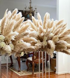 Decoratieve bloemen kransen 10 stks 120 cm pluizig groot pampas gras gedroogd lang natuurlijk driy kersthuis boho decor diy bruiloft dec8936157