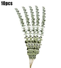 Fleurs d￩coratives couronnes 10pcs eucalyptus naturels feuilles de fleur s￩ch￩e d￩corer les tiges eucalipto pour les ornements de maison bricolage 5658914