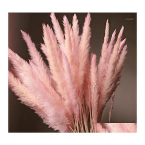 Couronnes de fleurs décoratives 10pcs naturel séché petit pampas herbe phragmites communis bouquet de fleurs de mariage 40 à 68 cm de haut pour ho dhqfh