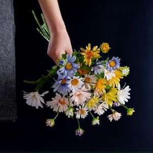 Decoratieve bloemen kransen 10 stks simulatie Wild chrysanthemum nepbloem huisdecoratie zijden daisy bruiloftweg leads achtergrond