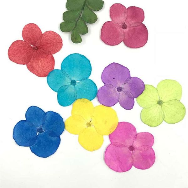 Guirnaldas de flores decorativas 12 piezas por bolsa 1.5-2CM Muestras secas de hortensia para bricolaje Material hecho a mano 1 lote / 120 piezas