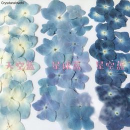 Fleurs décoratives couronnes 120pcs pressée Série bleue Hortensia Macrophylla Plantes de fleurs Herbarium pour bijoux Bookmark