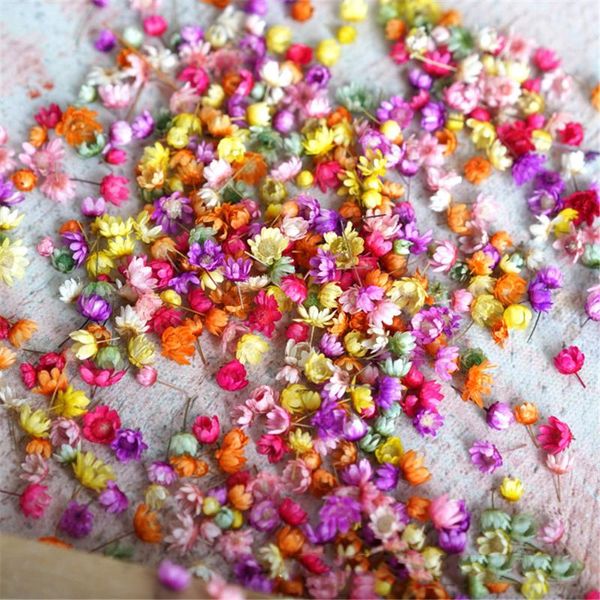 Guirnaldas de flores decorativas 140 piezas cabeza de flor de estrella pequeña seca DIY Crystal Drop Glue Art Home Party Po Prop Decoraciones de otoño Dec decorativo