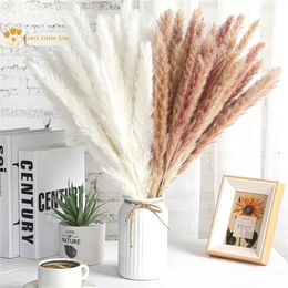 Guirnaldas de flores decorativas 15 piezas Pampas esponjosas Hierba de pampa natural Flores secas Caña real Pequeños ramos de junco Boho Decoración de la boda en el hogar Phragmites 230808