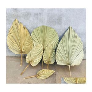 Fleurs décoratives couronnes 1pc fleur séchée feuille de ventilateur PU naturel pour bricolage Shop Affichage de décoration Matériaux conservés PA DHEZ3