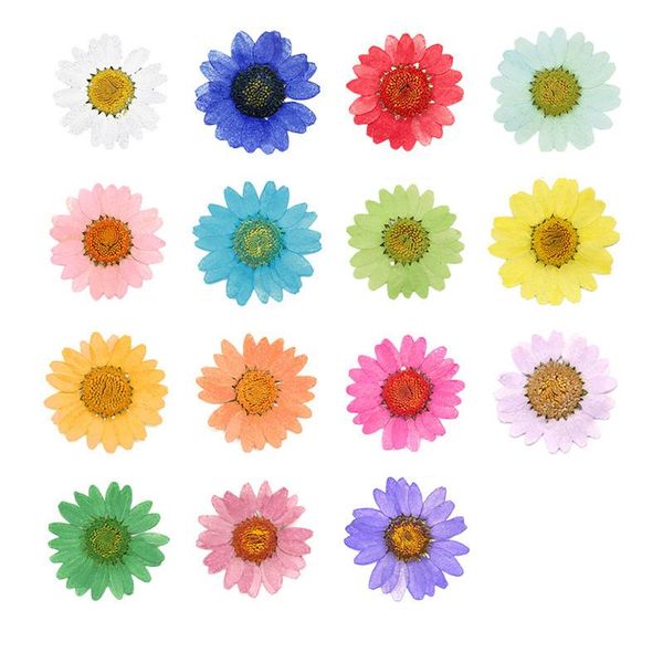 Couronnes de fleurs décoratives 2-3cm marguerite pressée fleur séchée pour résine pendentif collier fabrication de bijoux artisanat bricolage nail art scrapbook 50pcs / p