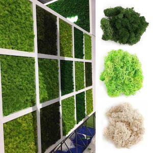 Decoratieve bloemen Kransen 20 g Immortaal Natuurlijk Moss Noorse rendier Garden Plant Landschap Bloem Multi-kleuren gedroogde bruiloft Eeuwige gr.