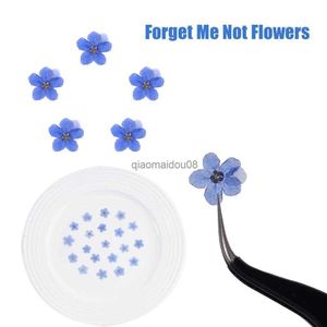 Coronas de flores decorativas 20PCS Azul Forget Me Not Flowers para DIY Art Craft Head Resina epoxi Joyas Nail Art Flower Dried Real Pressed Flowers Sticker HKD230818