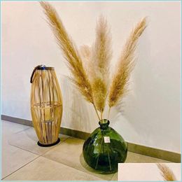 Decoratieve bloemen kransen 20 stks/veel decoratieve bloemen groothandel phragmites natuurlijke gedroogde decoratieven pampas gras voor huis weddi dhvpg