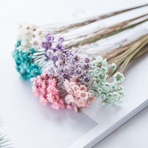 Decoratieve bloemen Kransen 30 -stks Gedroogd bewaard gebleven mini Daisy Flower Natural Fresh Wedding Bouquet Party Decoratie Accessoires Home R