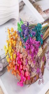 Fleurs décoratives couronnes 30pcs mini marguerite bouquet étoile bouquet coloré les plantes naturelles séchées préserve décoration de maison florale3701753