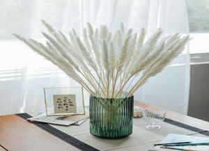 Decoratieve bloemen kransen 30 stks wit roze echte pampas gras boeket natuurlijke gedroogde home decor bruiloft accessoires feest decorat3145203