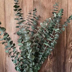 Decoratieve bloemenkransen 35 ~ 40 cm / 10 stuks Echte gedroogde natuurlijke verse eeuwige eucalyptustakken Decoratieve grasmunten Droog geconserveerde eeuwige bladeren voor thuis 230828