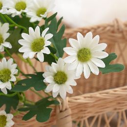 Couronnes de fleurs décoratives 5 pièces fleur artificielle fausses plantes chrysanthème soie 230822