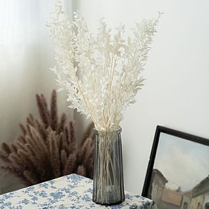 Couronnes De Fleurs Décoratives 50g Séchées Pour Toujours Préservées Ruscus DIY Décoration Florale Sec Gypsophile Bouquet De Fleurs Pour La Maison De Mariage Décor