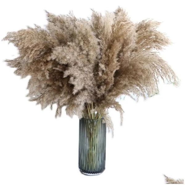 Flores decorativas Guirnaldas 60 cm Pampas Hierba Ramo Flor seca Venta al por mayor Uso de boda Decoración de Navidad Decoración de otoño artificial Dhafv