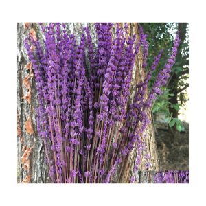 Decoratieve bloemen kransen 70 stks/35 cm bewaard verse lavendel Diy Eternelle Flore Wedding Favor Bloem Road Home Decor. Voorbehouden DHXW6