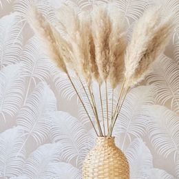 Fleurs décoratives couronnes 80cm 10 systèmes Pampas Grass Boho Style Decoration Fluffy Dried Flower Decoration Arrangement de mariage Natural Trockenblumen 230313