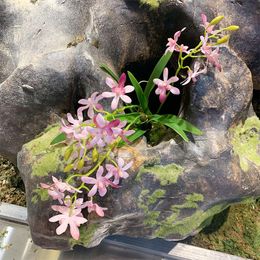 Guirnaldas de flores decorativas, rama de flor de orquídea Dendrobium Artificial con bola de musgo, plantas de decoración para el hogar falsas