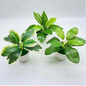 Decoratieve bloemen kransen kunstmatige groene planten dille gepot 13 cm woonkamer eettafel kantoor bureaublad kleine bonsai home g