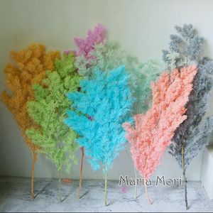 Decoratieve bloemen Kransen Asperges Myriocladus Natuurlijk kleurrijk Penglai Lied bewaard gebleven home Decor Wedding Decordecorative