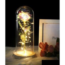 Couronnes de fleurs décoratives beau et animal sauvage pot rose LED fleur lumière noire fond en verre meilleur cadeau de fête des mères Valenti Dhctg