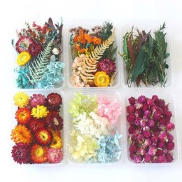 Dekorative Blumen Kränze Box echte natürliche getrocknete Blumen trockene Pflanzen machen Handwerk DIY bunte Kerze Epoxidharz Schmuck für Home Decorati