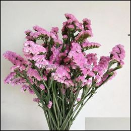 Fleurs décoratives Couronnes Cristal Herbe Naturelle Fraîchement Séchée Conservée Oubliez-moi Pas Vrai Amant Herbes Branche Pour La Maison Table Rrd1 Otso1