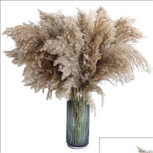 Decoratieve Bloemen Kransen Decor Pampas Gras Pompeuze Gedroogde Pampass Planten Pluizige Stengels Pompus Natuurlijke Hoge Grote Witte Bruine Stengel Dhyd8