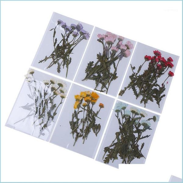 Couronnes De Fleurs Décoratives Couronnes De Fleurs Décoratives 10Pcs / Pack Feuilles De Fleurs Pressées Réelles Séchées Pour Bricolage Cas De Téléphone Résine Bijoux Dhfgh