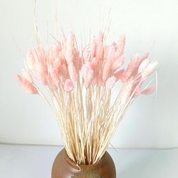 Decoratieve bloemen kransen dongli natuurlijk gedroogd staart gras bewaard roze phalaris gebleekte kanarie arundinacea