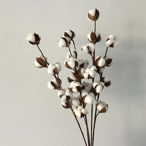 Decoratieve bloemen kransen flone ​​gedroogde bloem katoenen tak 6 hoofd lange simulatie boom thuis bruiloft decor kunstmatig