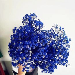 Couronnes De Fleurs Décoratives Flores Secas Bleu Gypsophile Fleurs Séchées Arrivées Dans Pour Chambre Salon Décoration Saint Valentin Cadeau 230313