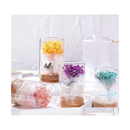 Fleurs décoratives couronnes gypsophiles en verre dôme séché fleur éternelle préservée pour le cadeau de la Saint-Valentin d'anniversaire 9 couleurs baisse dhjt0