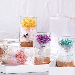 Couronnes de fleurs décoratives Gypsophila dans un dôme de verre, fleur éternelle séchée et préservée pour un anniversaire, un cadeau de la Saint-Valentin, 9 couleurs, goutte Dhtyp