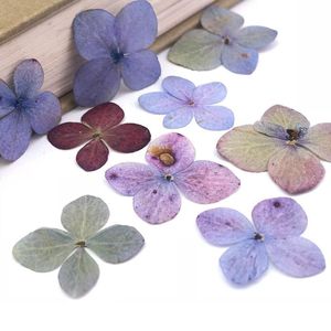 Flores decorativas Guirnaldas Hortensias Flores secas de colores mezclados para regalos de Navidad Decoración de tarjetas Envío gratis 120 piezas Decorativas